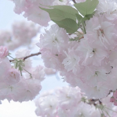 Furry绘画构图灵感FurryQQ群